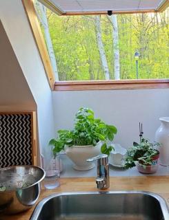 Wohnung am Meer mit Garten - Stralsund - 7