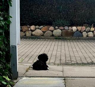 Wohnung am Meer mit Garten - Stralsund - 6