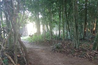 Privacidade, conforto, aconchego, simplicidade. - Anitápolis - 1