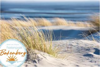 Bungalow WALD & SAND direkt am Strand - Dranske - 7