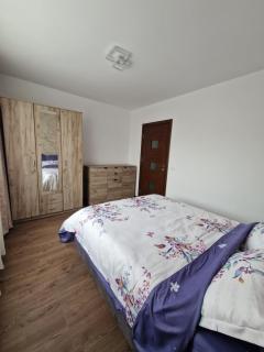 Downtown Apartment - Râmnicu Vâlcea - 3