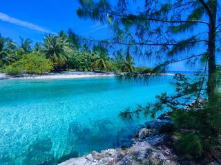 Blue Lagoon Villa - Avatoru - 4