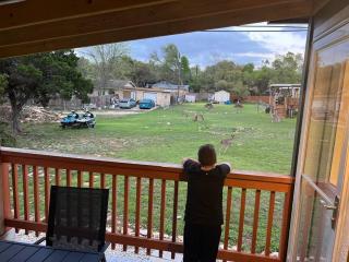 The Lake House - Canyon Lake - 1