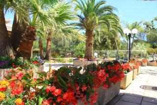 Campsite chalet France at Cotes d'Azur nearby sea - Roquebrune-sur-Argens - 5