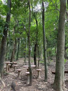 Espaço camping - Barraca 2 - 1