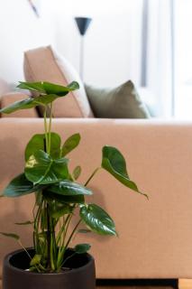 Rovertou Galli 3-5 by Athens Concept Residences - 9