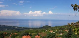 Traditional Guesthouse Erato - Palaios Panteleimon - 2