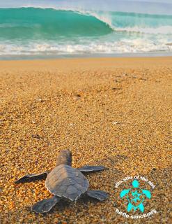 Villa Star of the Sea - 7