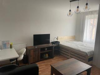 Apartmán Ivona 2 - Zlín - 6