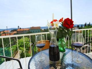 Apartment Gabbianno - Sveti Filip i Jakov - 1