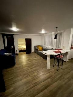 Departamento Céntrico - Loja - 1