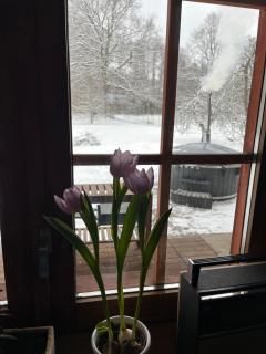 Augļu ielas pirts māja - 1