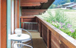 Schoene Ferienwohnung Flachau - 3