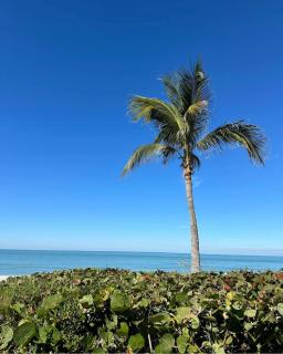 Captiva Bayside Villas 1 Bedroom 2 Bath - sleep 4 - 7
