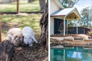 Riverside Ranch - oceanstays - Yamba - 8