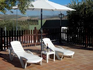 Villa María - Pista de Padel y Piscina - Baena - 8