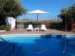 Villa María - Pista de Padel y Piscina - Baena - 7