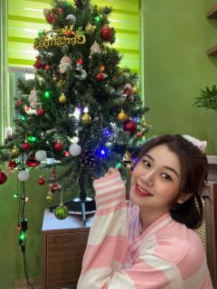 Domino Home with Banlcony Lake View - 8