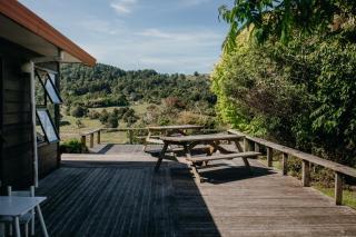 The Wilderness - - 7