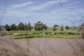 The Wilderness - - 2