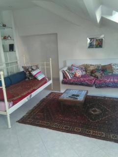 Spacious and naturally bright Bomboniera Rooftop Favors apartment - Genoa - 8