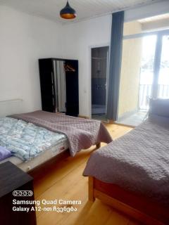 Apartment of mestia - 2