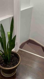 Bernie's Basement - 3