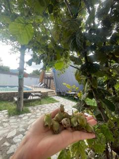 Lovely Aframe Vendam - Gabala - 7