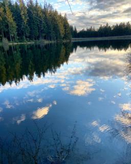 Harzpur Lodge - Pure Entspannung in purer Natur - Hahnenklee-Bockswiese - 4
