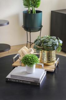 Frank Porter - Genesis by Meraki - Dubai - 5