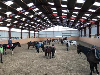 Reit- und Ferienhof Maack - Neuharlingersiel - 8