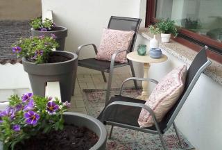 Ferienhaus Mosel Cottage in Piesport - Piesport - 8