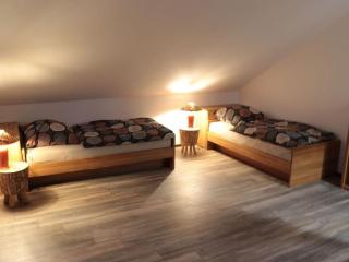 Holiday home Harzhaus time out - Altenau - 1