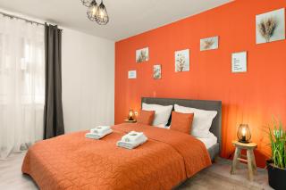 Immo-Vision - Natur Design Apartments, Parkplatz, Küche - Calberlah - 8