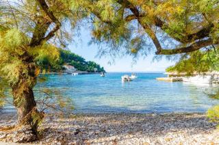 Holiday house Kata-Babina - 6