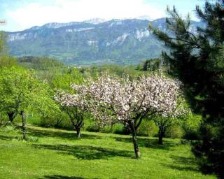 Les Joncquilles - Miribel-les-Échelles - 8