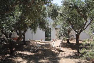 Masseria Trotta B&B - Fasano - 6