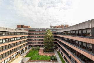 Bright and Modern Studio Apartment in East Grinstead - East Grinstead - 6