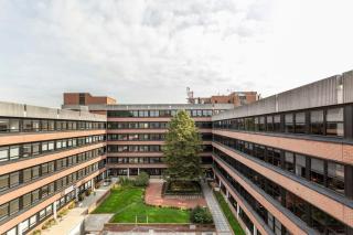 Modern 1 Bedroom Apartment in East Grinstead - East Grinstead - 1