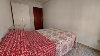 Redbrick 1º - 5