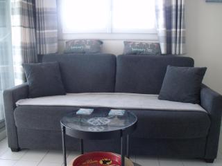 Appartement T2, 7 JOURS MINIMUM, Climatisé, 3 étoiles, 40m2 ,parking privé, Mer 300m, Wifi, Piscines, très propre, Ascenseurs, en étage - Le Grau-du-Roi - 7