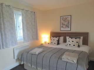 Celtic Minor Stables - Swansea - 6