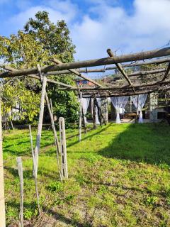 Il Vitigno di Dioniso - Ischia - 1