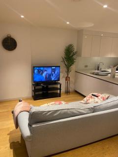 Cosy Long term apartment - London - 4