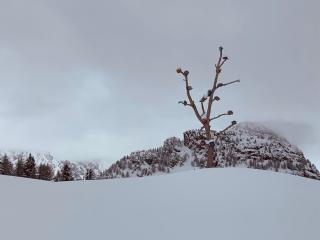 mansardacourmayeur - Courmayeur - 7