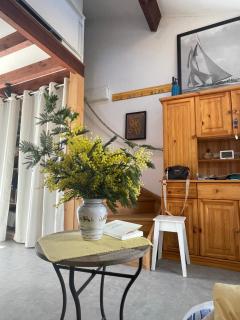 LES MIMOSAS - Saint-Trojan-les-Bains - 0