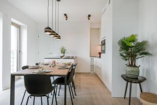 Huswell - Modern apartment with sunny and large terrace - Ostenda - 7