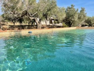 Mas del Ginjol - Tortosa - 8