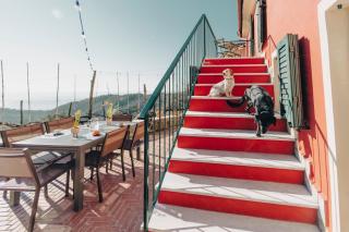 B&B La Volpe - Moneglia - 1