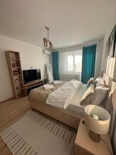 Lovely&Cozy Apartaments Palas Mall - Iaşi - 8